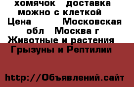 хомячок . доставка. можно с клеткой. › Цена ­ 300 - Московская обл., Москва г. Животные и растения » Грызуны и Рептилии   